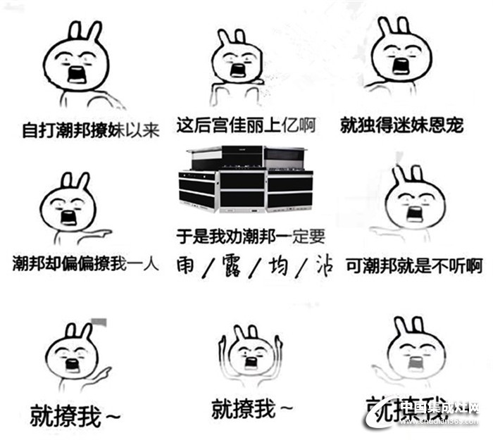 我勸皇上要雨露均沾~但皇上偏不聽，就寵潮邦集成灶！