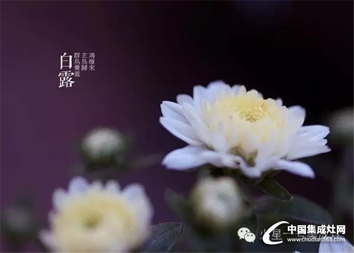 白露至秋意濃，火星一號(hào)教你怎么應(yīng)對(duì)秋寒