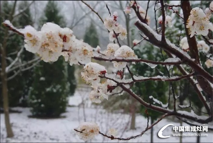 倒春寒來了，火星一號教你如何應(yīng)對！