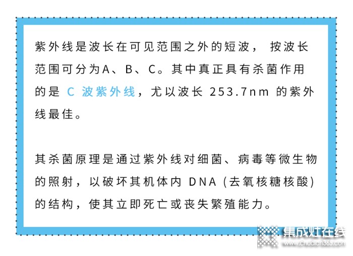 還在開水燙碗？美大來教你正確的消毒方法啦！