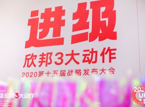 進(jìn)級·欣邦3大動作2020第十五屆戰(zhàn)略發(fā)布大會2 (24)