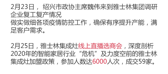 雅士林集成灶2020年度報告移動圖片