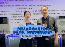 力巨人在終端布局上取得哪些成績，如何實現(xiàn)戰(zhàn)略目標(biāo)？ ()