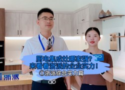 廚電集成灶哪家強？來看看浙派集成灶的企業(yè)實力！ (1684播放)