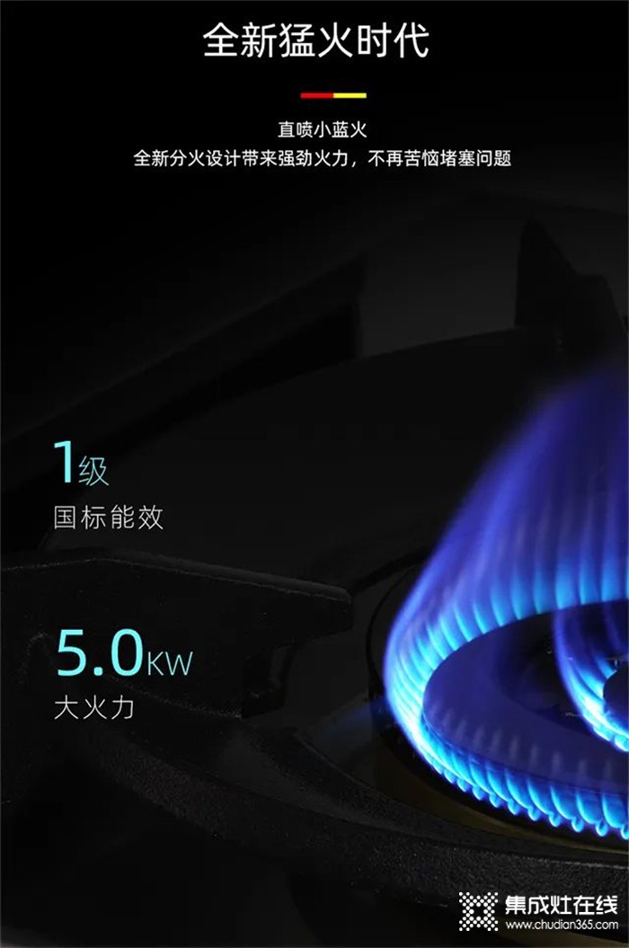 省水省電省燃氣的德西曼集成灶，你值得擁有！