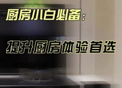 佳歌語(yǔ)音蒸烤變頻集成灶X6ZK——多種烹飪功能“張口”即來(lái)，真正做到解放雙手 ()