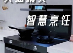 佳歌智能新品A7ZK集成灶——智享烹飪，讓生活更美味！ (1010播放)