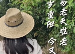 【重陽節(jié)桂花糕】“桂花雨”落在松軟的米糕上，連著桂花蜜的甜味融化在舌尖上，這份獨(dú)屬于秋天的歡迎儀式，連帶著重陽節(jié)的獻(xiàn)禮一起和大家分享！ (1912播放)