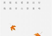 藍(lán)炬星丨二十四節(jié)氣——暑意尚存 立秋已至